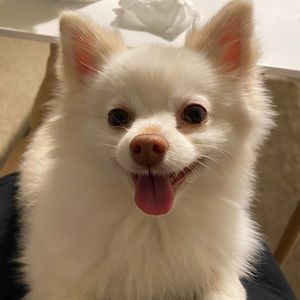 Meet your Posher, Margaret